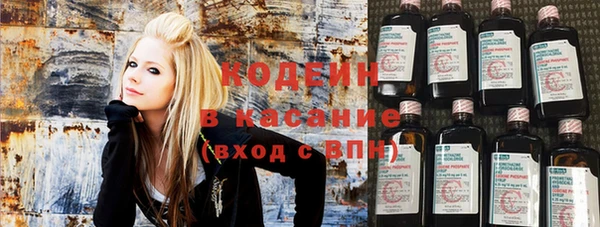 шишки Карпинск