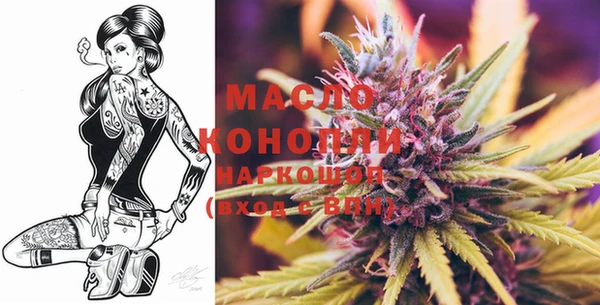 шишки Карпинск