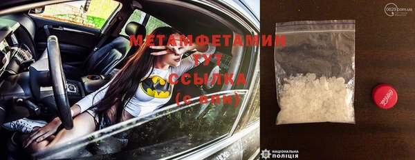 шишки Карпинск