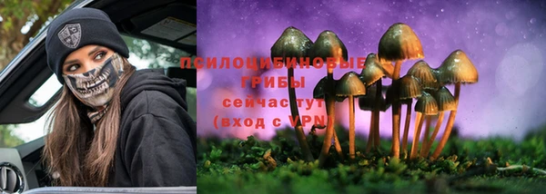 шишки Карпинск