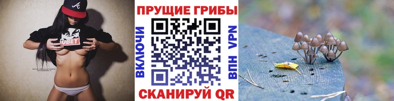 Купить закладки  Дмитриев  Галлюциногенные грибы мухоморы 